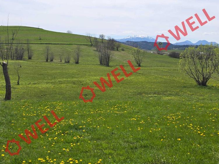 Teren agricol extravilan de 6519 mp, în Sărămaș