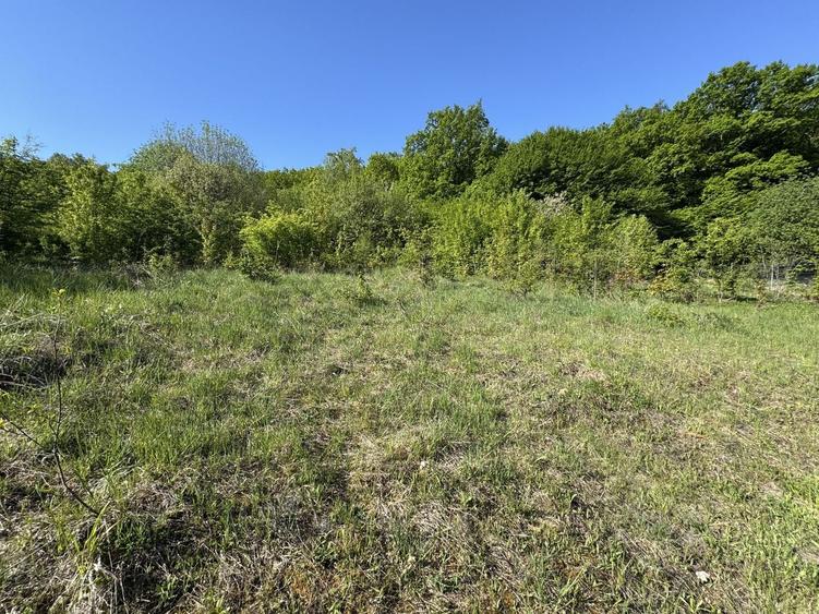 Teren intravilan 800 mp în Corunca, zona pensiunea Korunca - 3