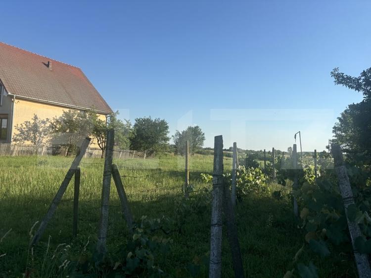 Teren Construcții intravilan de 1330 mp, în Cionchești