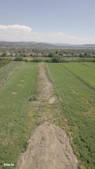 Teren de 3000 mp, în Cuzdrioara