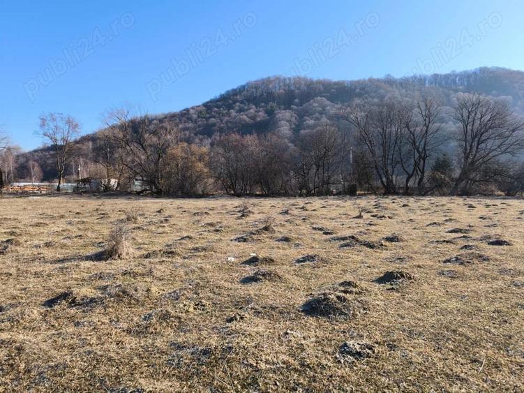 Teren de 6100 mp, în Glăjărie