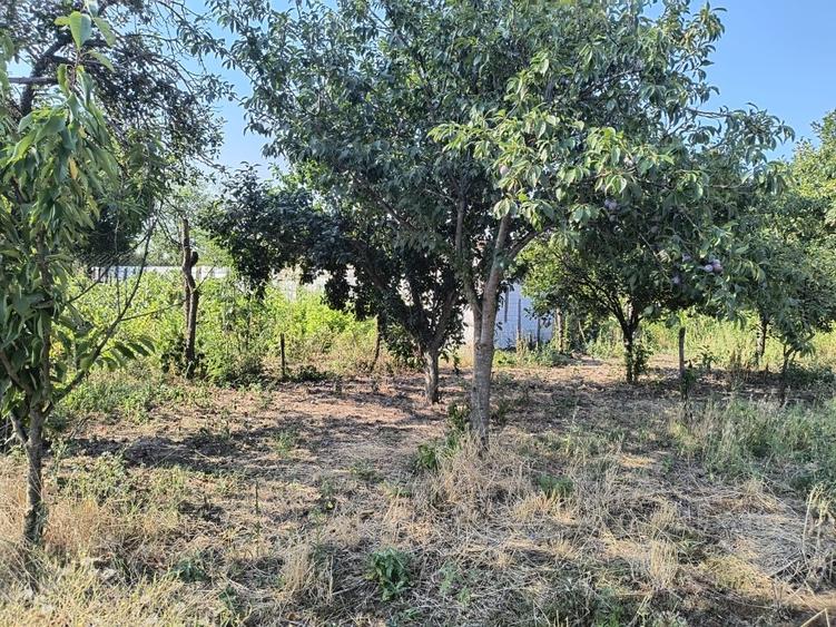 Casă individuală cu 2 camere cu Teren 1550 Mp în Radovan