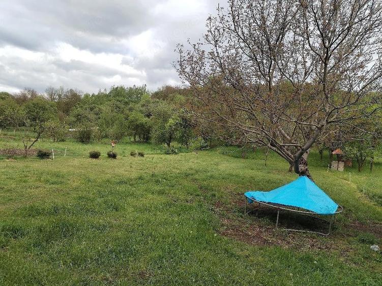 Se vinde casa cu bucatarie de vara,sura si 3400 mp teren intravilan in Vistea la 16 km de Cluj - 3