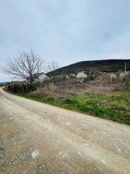 Teren de 6042 mp, în Berzasca