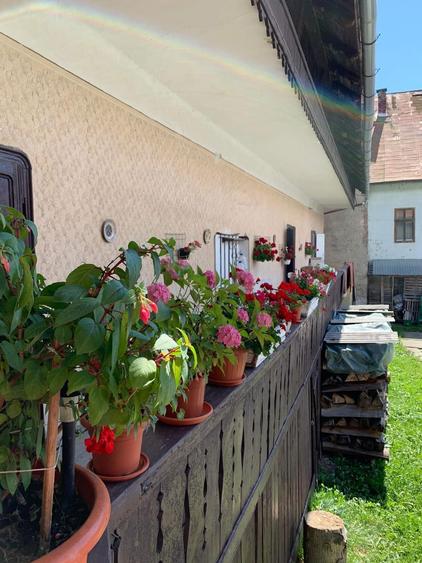 Vand Casa in centrul istoric oras Abrud - 3