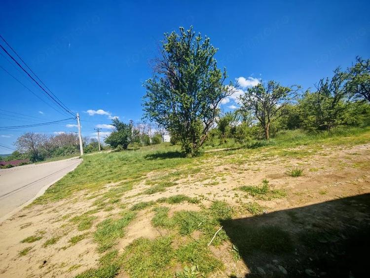 Teren de 2000 mp, în Nord