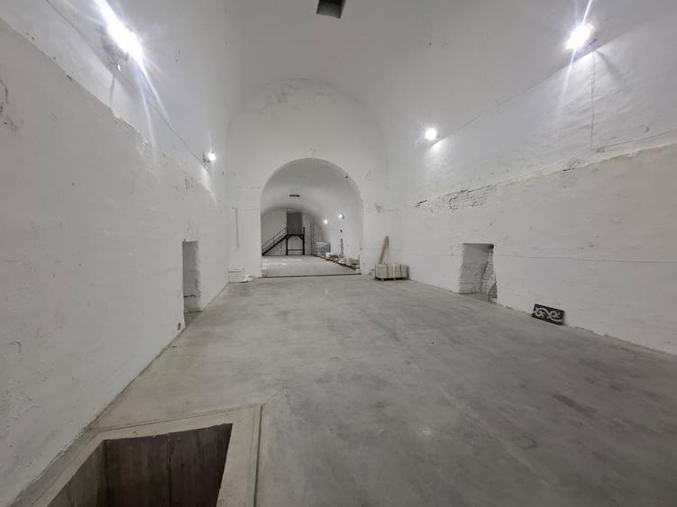 Spațiu industrial, de 600 mp, în Aradul Nou