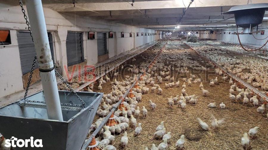 Spațiu comercial, de 5,000 mp, în Central