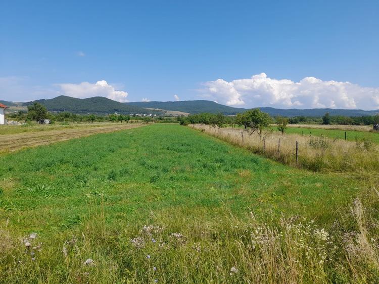 Teren Construcții intravilan de 2997 mp, în Nord