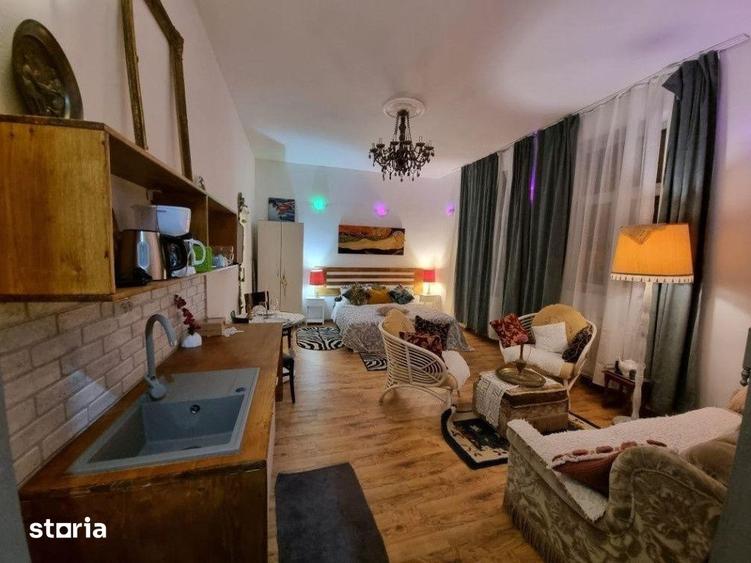 Ocazie! Casa de 300 mp utili, 1000 mp teren, zona Sapte Strazi, Gruia! - 11