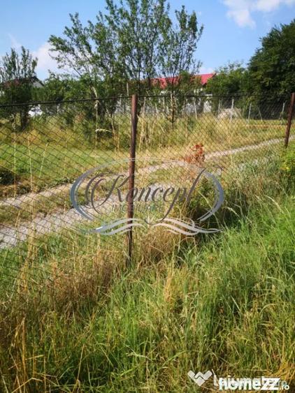 Ciurila, teren 773 mp cu autorizatie de construire - Ciurila (Cluj) - 12