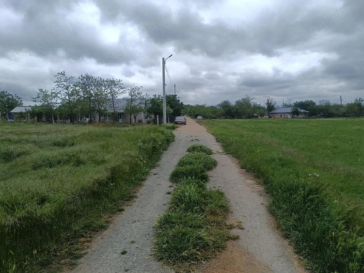 Teren de 849 mp, în Comana
