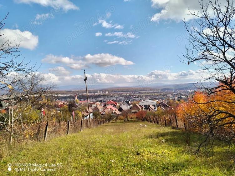 Teren în Central