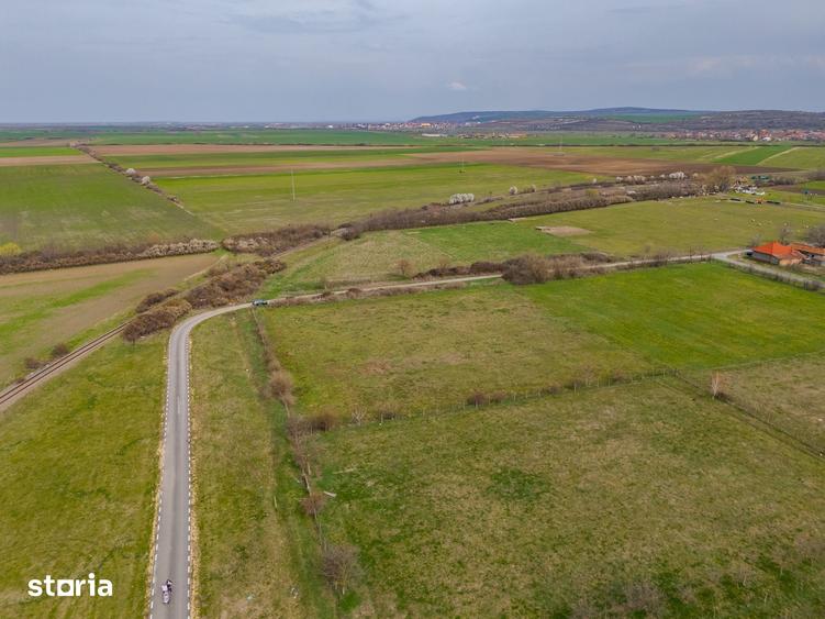 Teren de 1440 mp, în Șiria