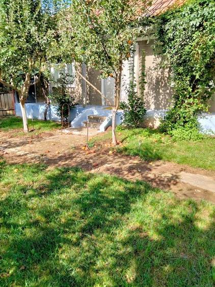 Casă cu 3 camere cu Teren 1500 Mp în Trifești