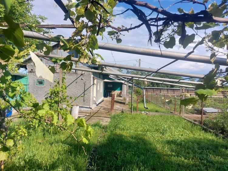 Casă cu 4 camere în Movila