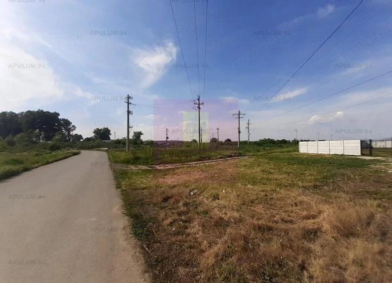 Teren construc?ie casa - 1 Decembrie - Zona Metropolitana Bucure?ti - 19