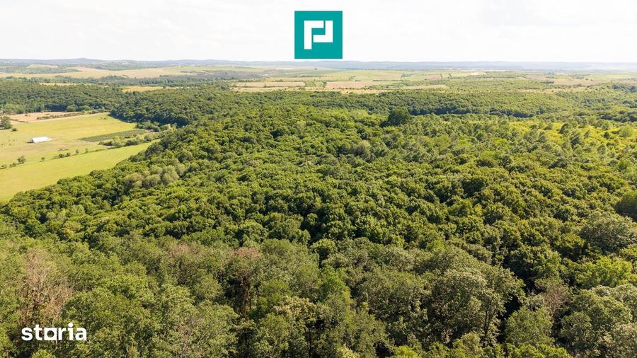 Teren de 22900 mp, în Central