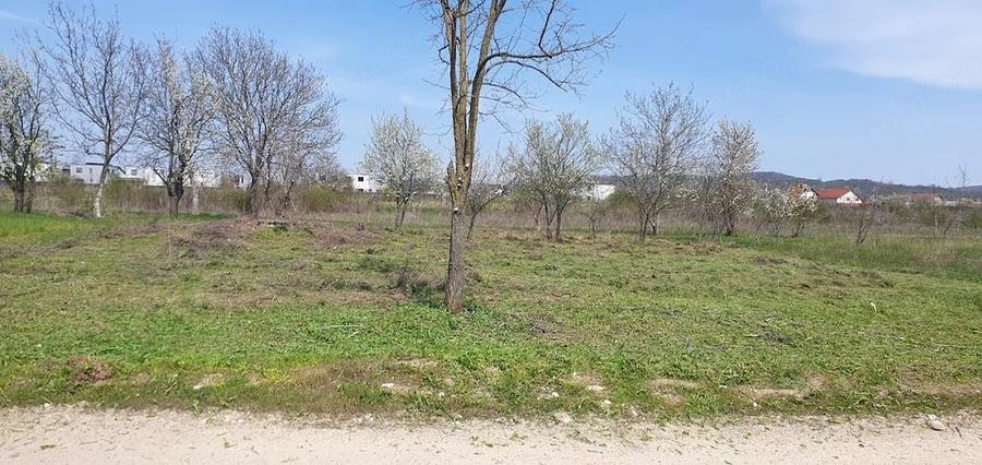 Teren de 500 mp, în Central