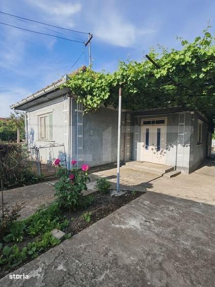 Casă cu 3 camere cu Teren 1033 Mp în Central
