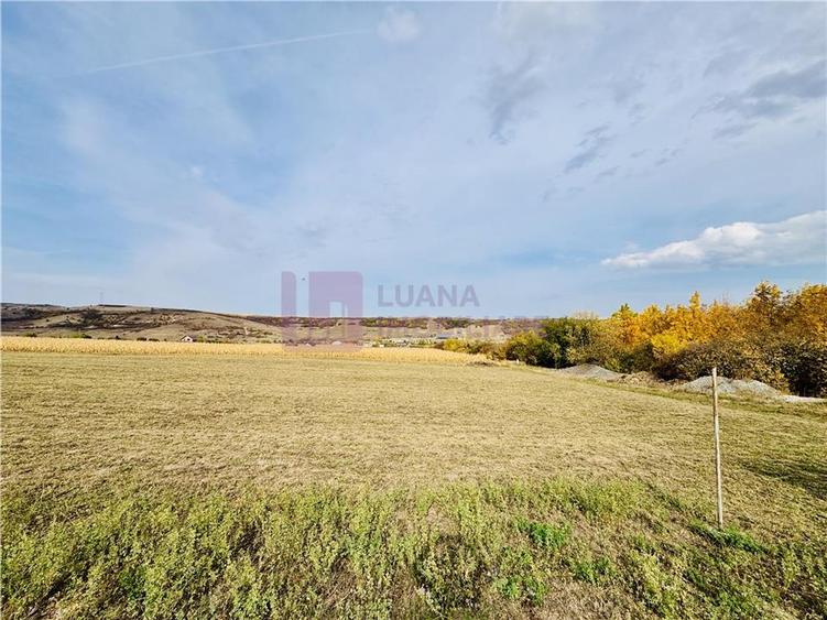 Teren agricol extravilan de 18000 mp, în Daia