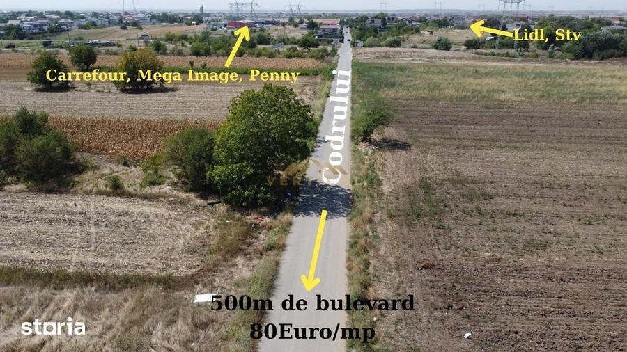 Teren de 430 mp, în Berceni