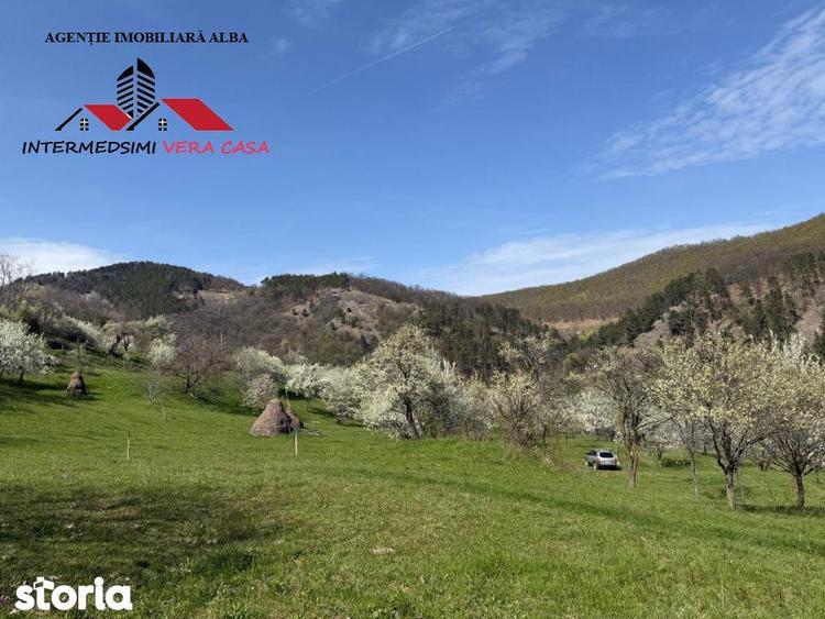 Teren de 13698 mp, în Vințu de Jos