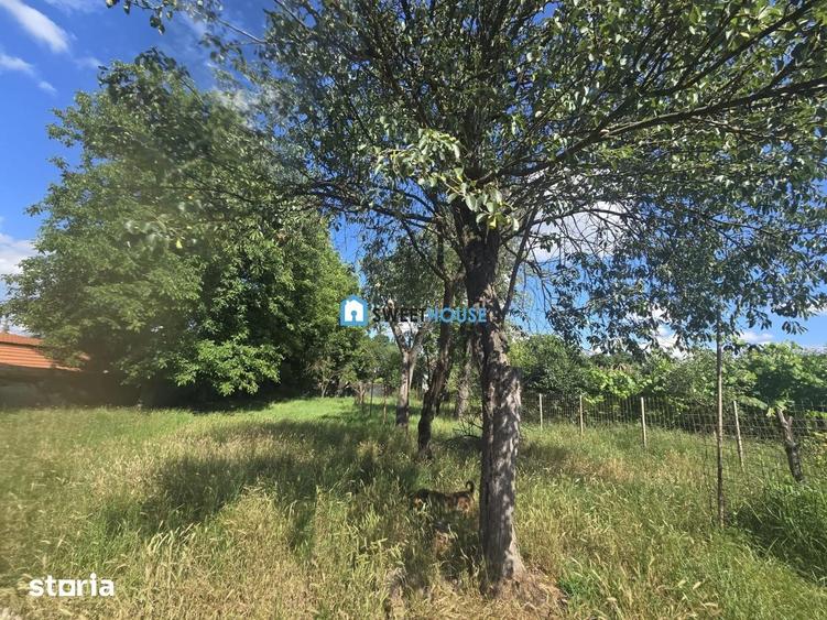 Casă cu 4 camere cu Teren 1200 Mp în Beclean