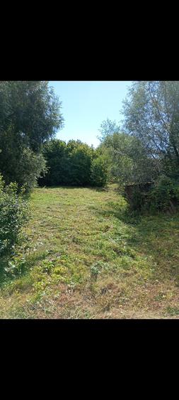 Casa Moreni 270 mp jud. Neamt - 4