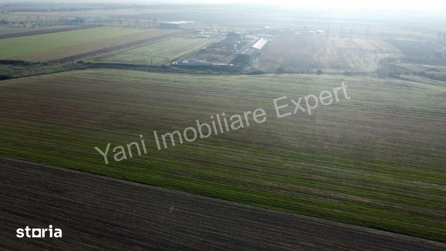 Teren de 10000 mp, în Căteasca