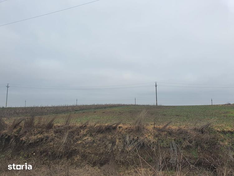 Teren de 140000 mp, în Albești