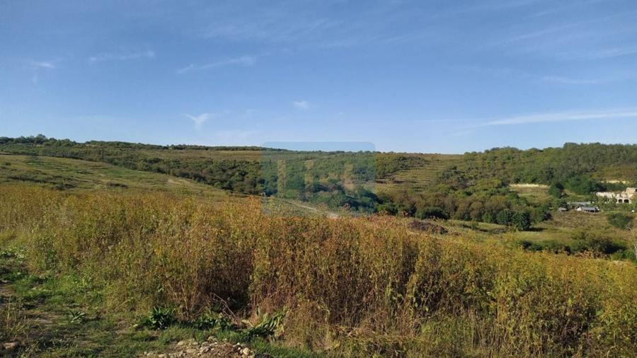 Teren Construcții extravilan de 11050 mp, în Orașul Nou