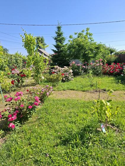 Casă cu 4 camere în Bârlogu