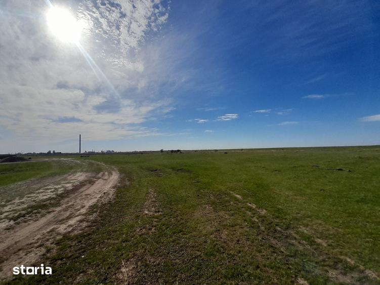 Teren de 9000 mp, în Albota
