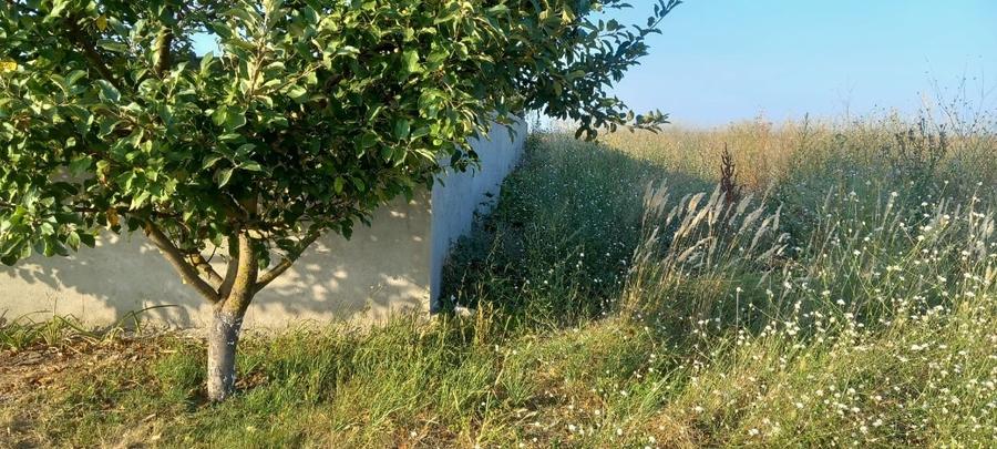 Casă individuală cu 4 camere cu Teren 509 Mp în Frumușani