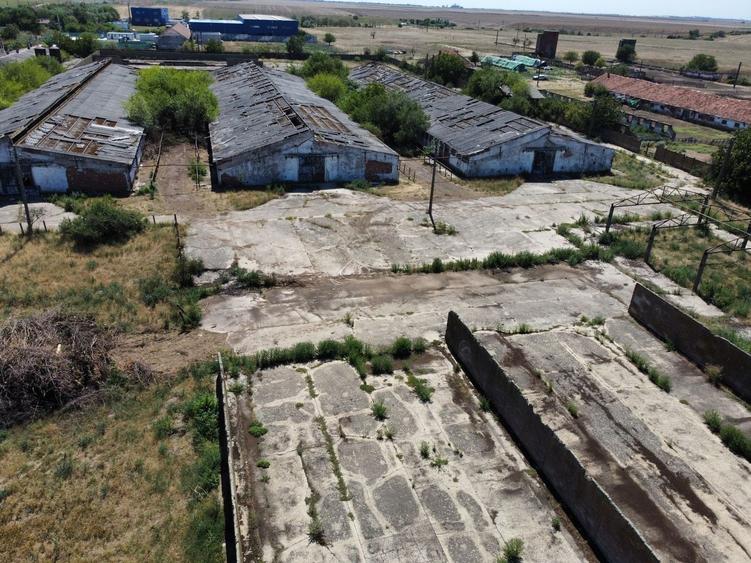 Spațiu industrial, de 7,950 mp, în Orțișoara