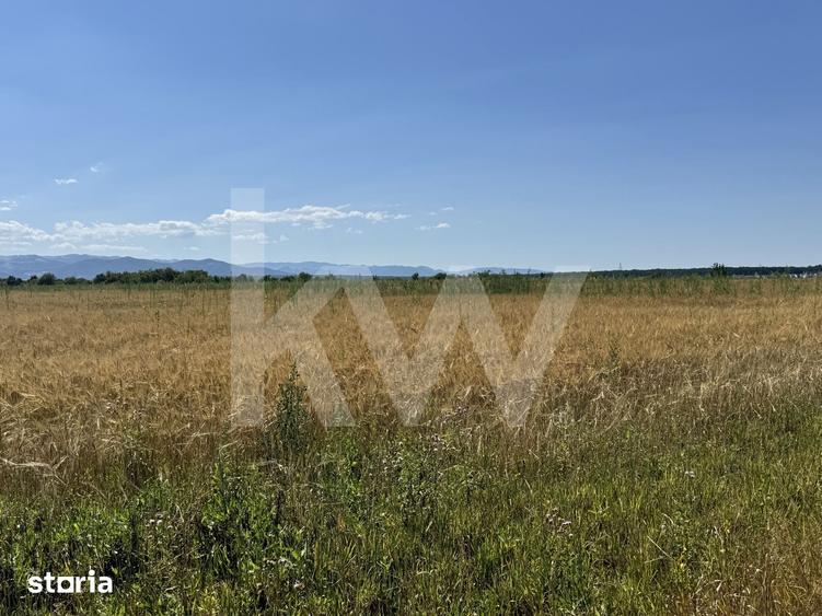 Teren 720 mp Sevis | 23 m front | Oportunitate investitie 24.480 - 11