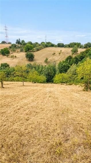 Teren intravilan de 15372 mp, în Șinteu