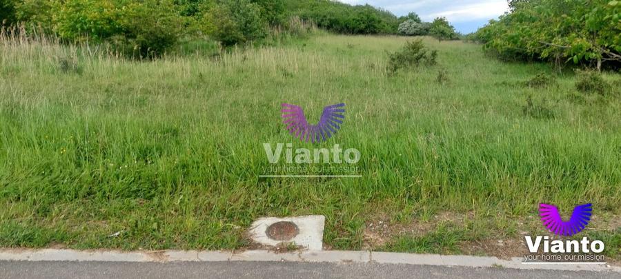 Teren Construcții intravilan de 6500 mp, în Gușterița
