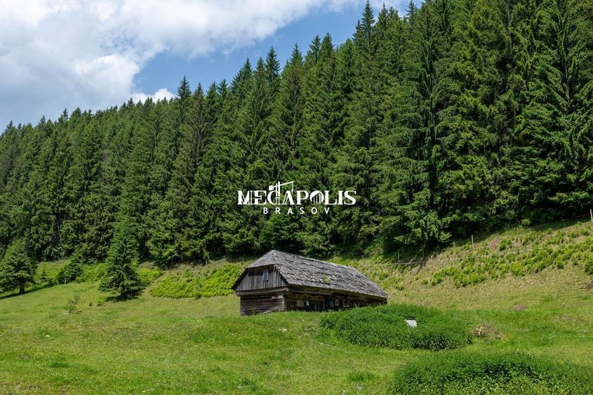 Teren Construcții intravilan de 12307 mp, în Moieciu de Sus
