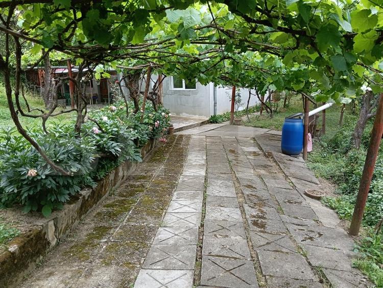 OPORTUNITATE : Proprietate formată din 2 case și teren generos – Sighisoara - 7