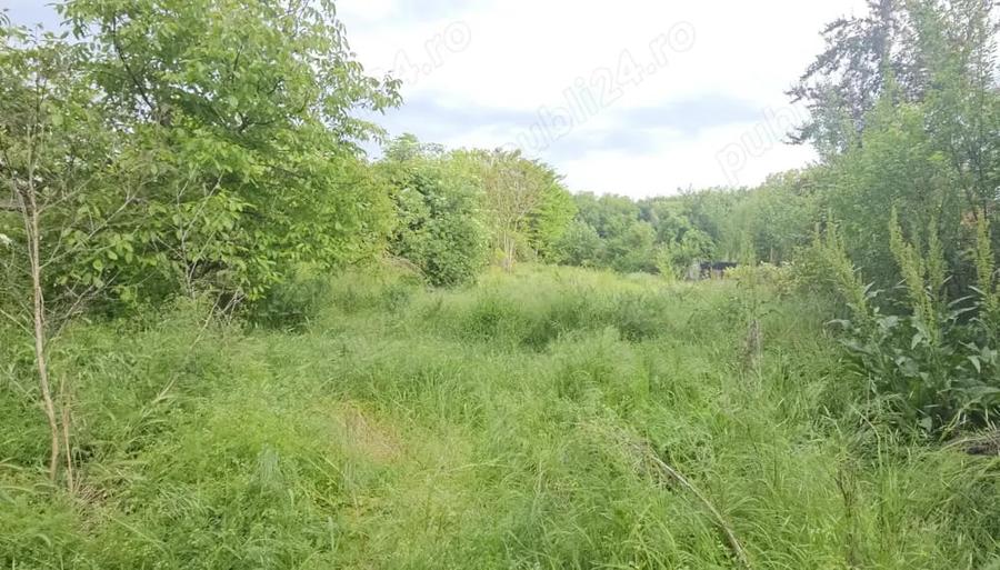 Casă cu 3 camere cu Teren 1066 Mp în Petrăchioaia