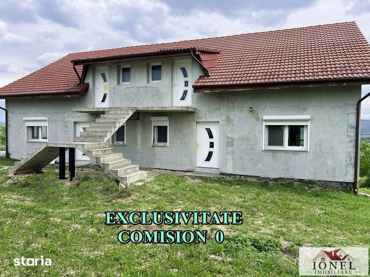 Casă cu Teren 6000 Mp în Teiu