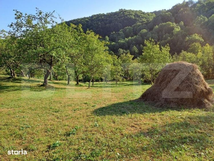 Casă cu 2 camere în Almașu Mare