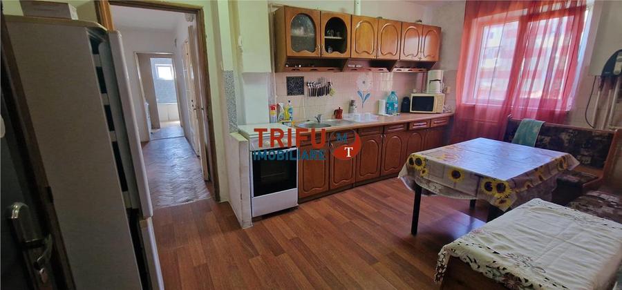 Apartament 2 camere de inchiriat zona Cetate - 7