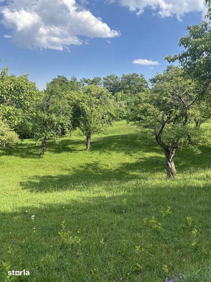 Teren de 10000 mp, în Șotrile