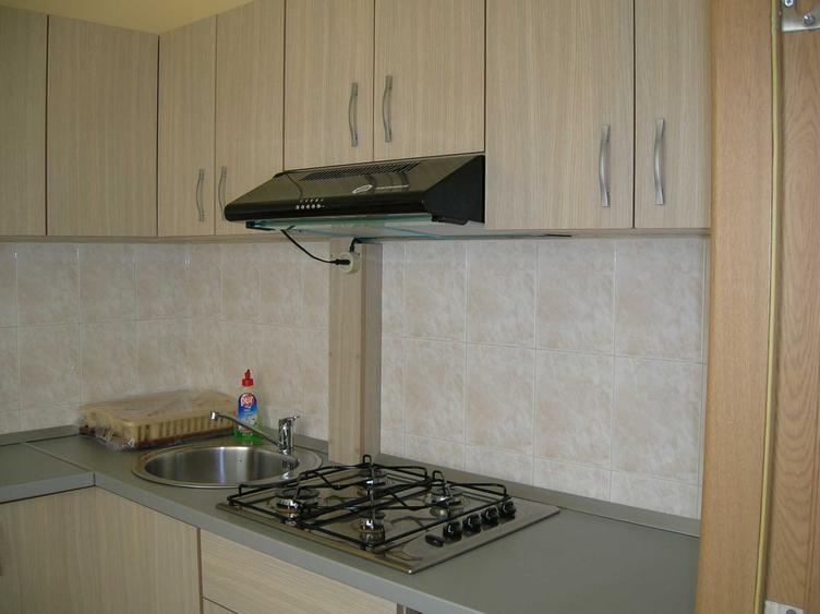 apartament 1 camera de vanzare central Podgoria - 3