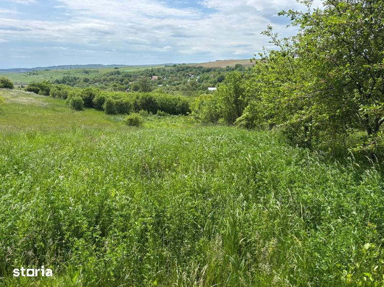 Teren de 4500 mp, în Tureni