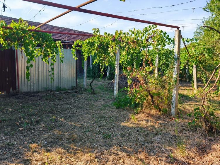 Casă cu 4 camere în Cornești