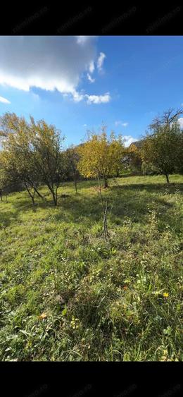 Teren de 1872 mp, în Cucuteni